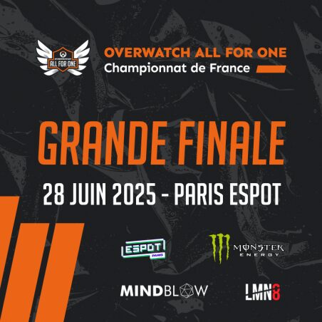 Grande Finale du Championnat de France d’Overwatch